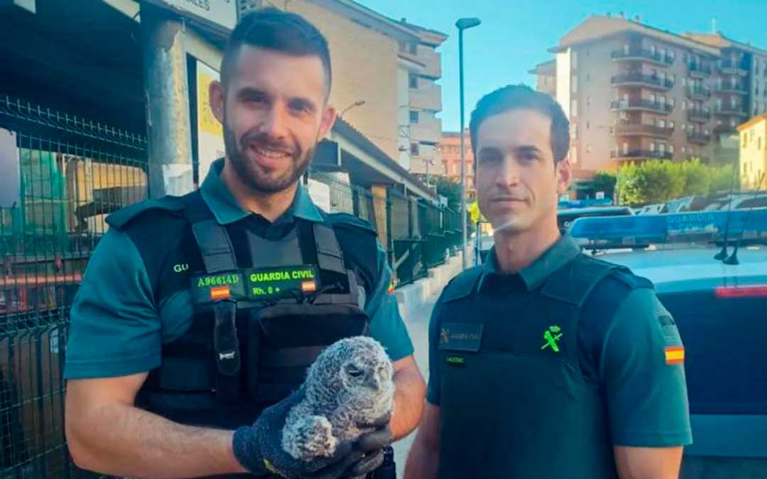 Dos agentes con el cárabo común encontrado en el suelo de la plaza España de Alcañiz./ Guardia Civil