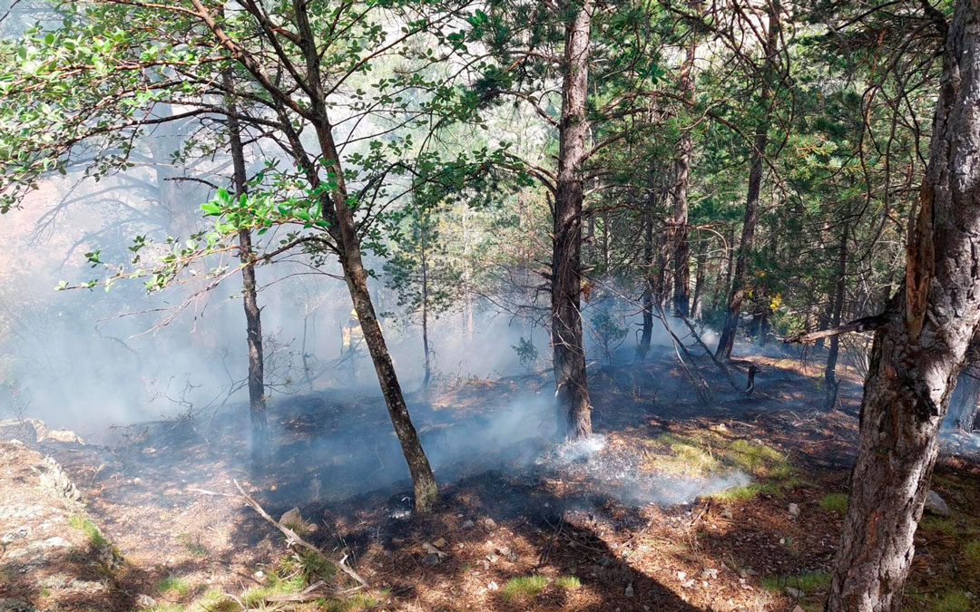 El incendio ha afectado a unos 300 metros cuadrados en Pitarque/ Dispositivo INFOAR