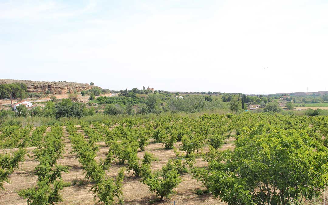 Zona de huertas y campos de Híjar junto a la carretera de La Puebla. / B. Severino