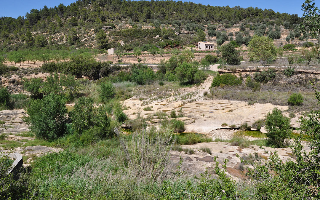El río Algars está prácticamente seco y tan solo resisten algunas pozas con el agua estancada./ J.L.