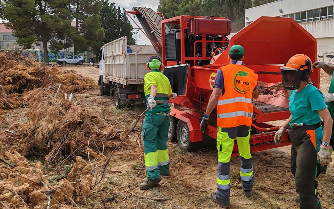 La nueva biotrituradora pica ramaje de hasta 20 centímetros de diámetro./ Ayuntamiento de Alcañiz