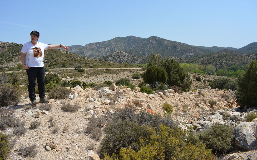 La jefa de área de planes y estudios de la oficina de planificación de la CHE, Teresa Carceller, enseñando por donde bajará el agua desde el pozo./ C.O.