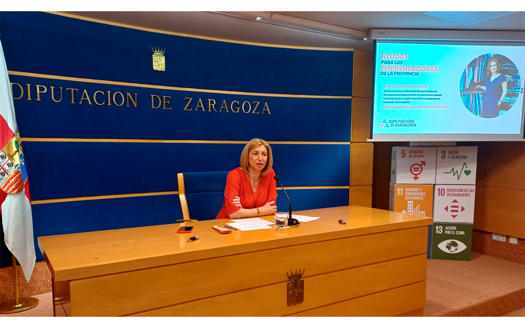 Presentación de la convocatoria./ DPZ