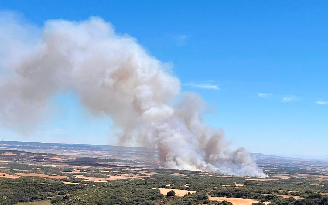 Imagen de la columna de humo./ INFOAR