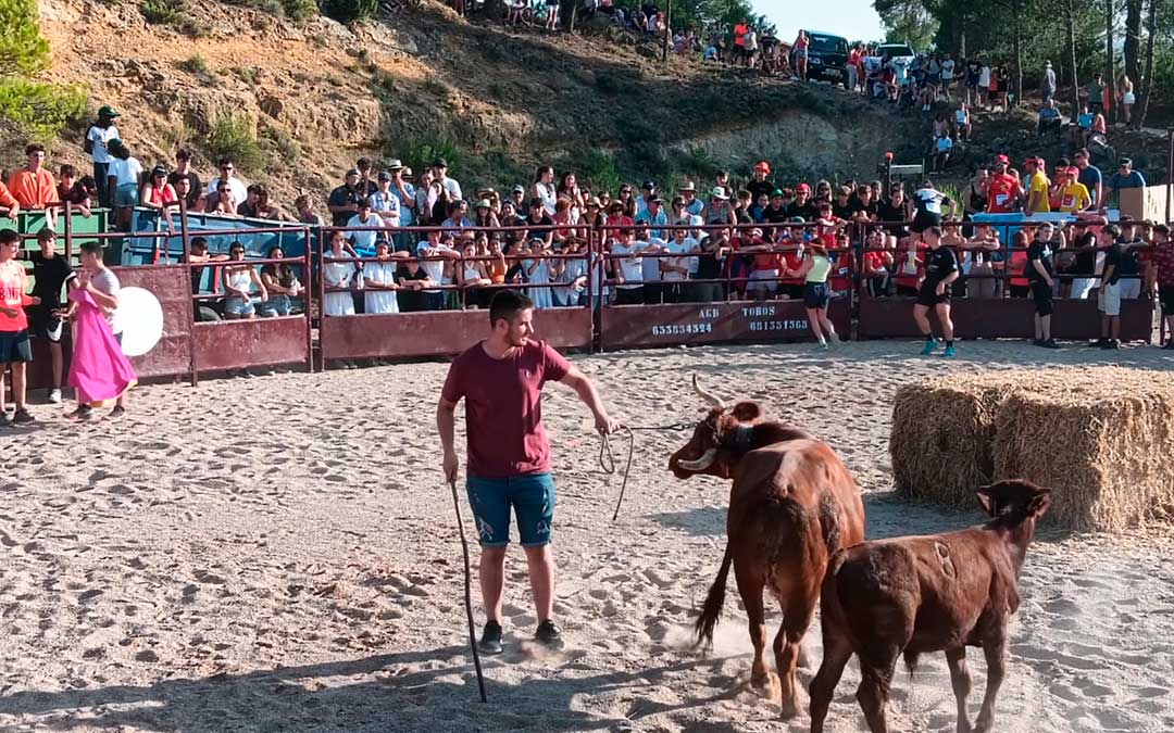 Ambiente taurino en las fiestas de Beceite. / J.L.