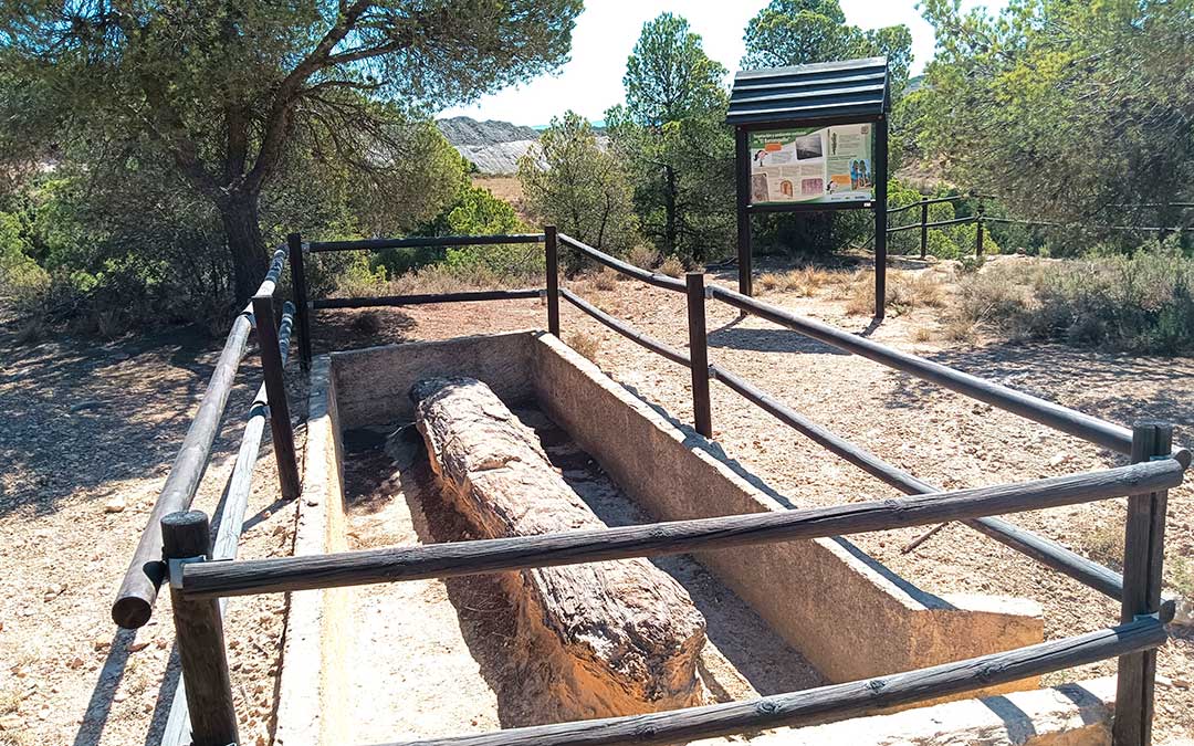 Uno de los afloramientos del yacimiento 'El Barranquillo' con un gran tronco fosilizado. Es conocido desde 1993 y está incluido en el catálogo de Lugares de Interés Geológico del Gobierno de Aragón. / Fundación Conjunto Paleontológico de Teruel-Dinópolis