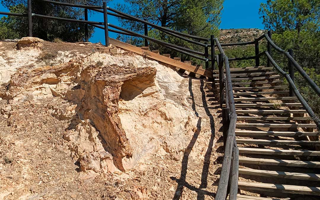 El yacimiento 'El Barranquillo' cuenta con ejemplares de troncos fósiles de unos 100 millones de años, que están protegidos por un vallado perimetral. / Fundación Conjunto Paleontológico de Teruel-Dinópolis