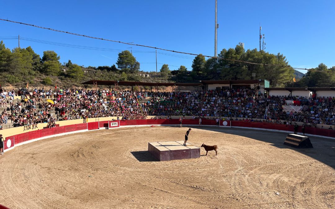 Charlotada Valderrobres 2024./ C.O.