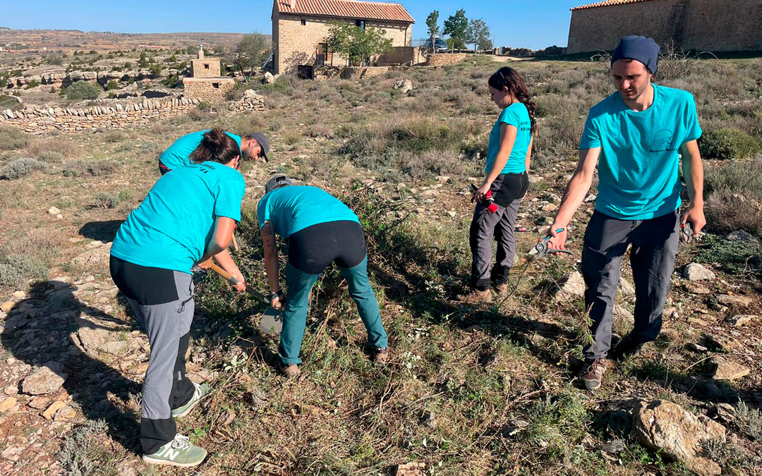 Imágenes de los trabajos que se han realizado junto a la ermita del Cid de La Iglesuela./ ArqueoAntro