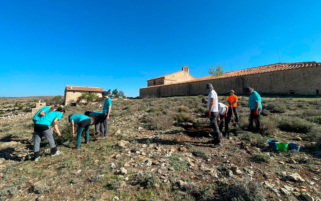 Imágenes de los trabajos que se han realizado junto a la ermita del Cid de La Iglesuela./ ArqueoAntro