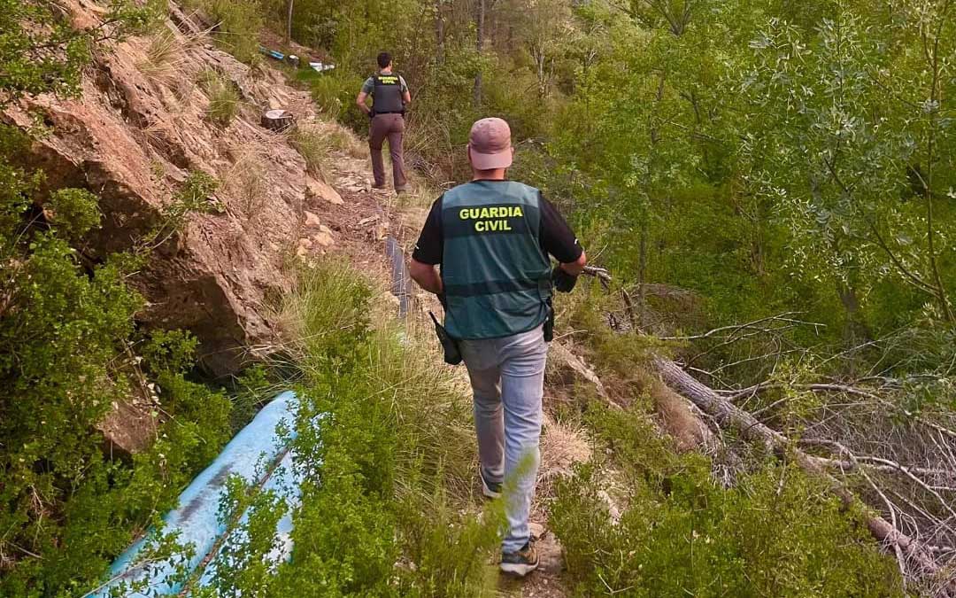 Operativo policial para desmantelar la plantación./ La COMARCA