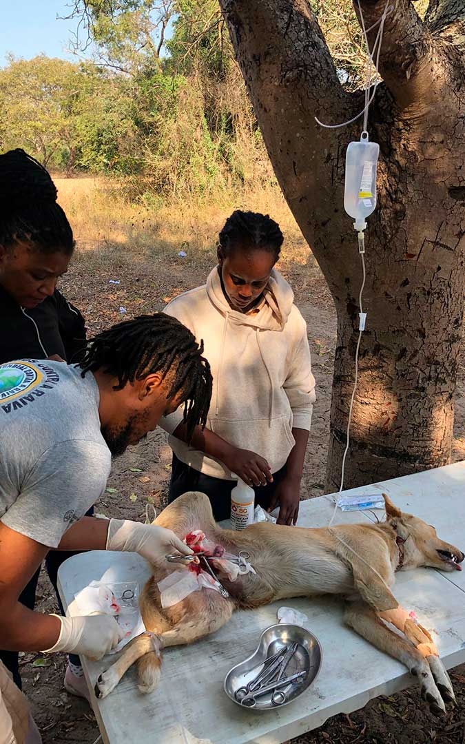Una operación de urgencia en Mozambique. / Archivo personal Eva Espés