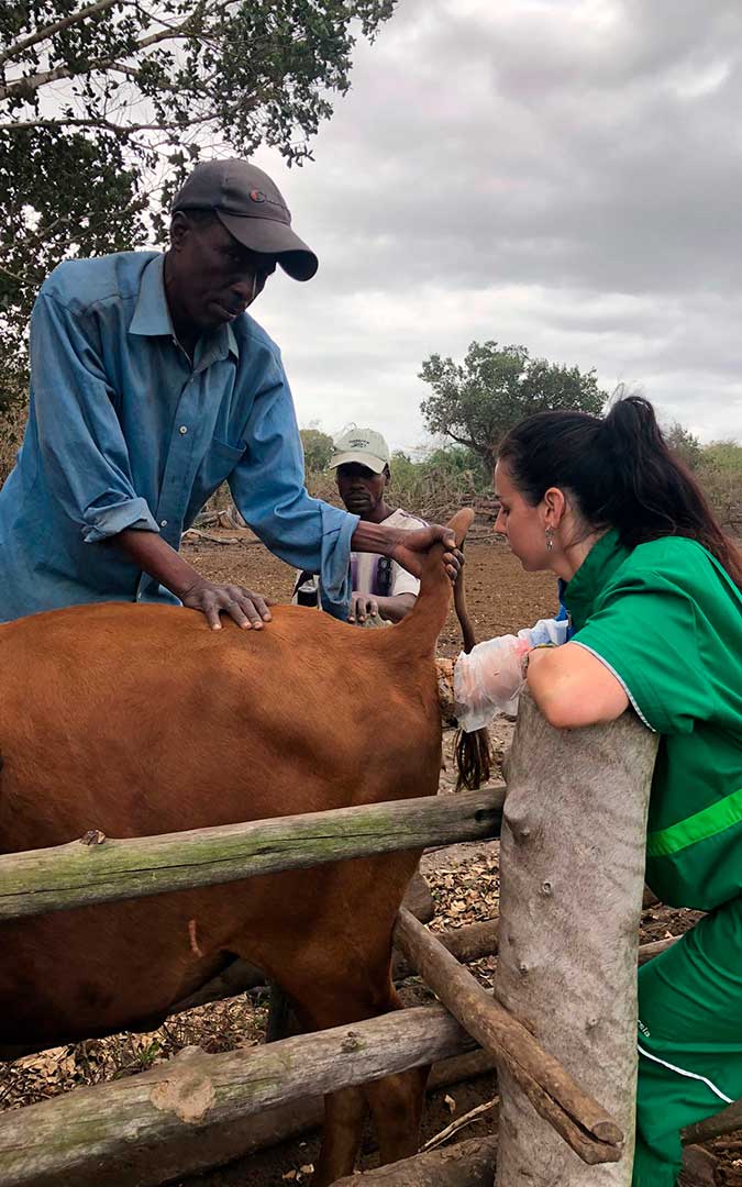 La veterinaria samperina Eva Espés, de cooperación en Mozambique. / Archivo personal