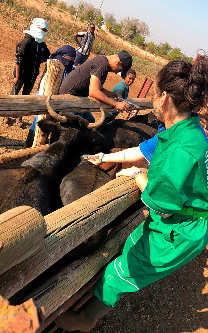 La veterinaria samperina Eva Espés, de cooperación en Mozambique. / Archivo personal