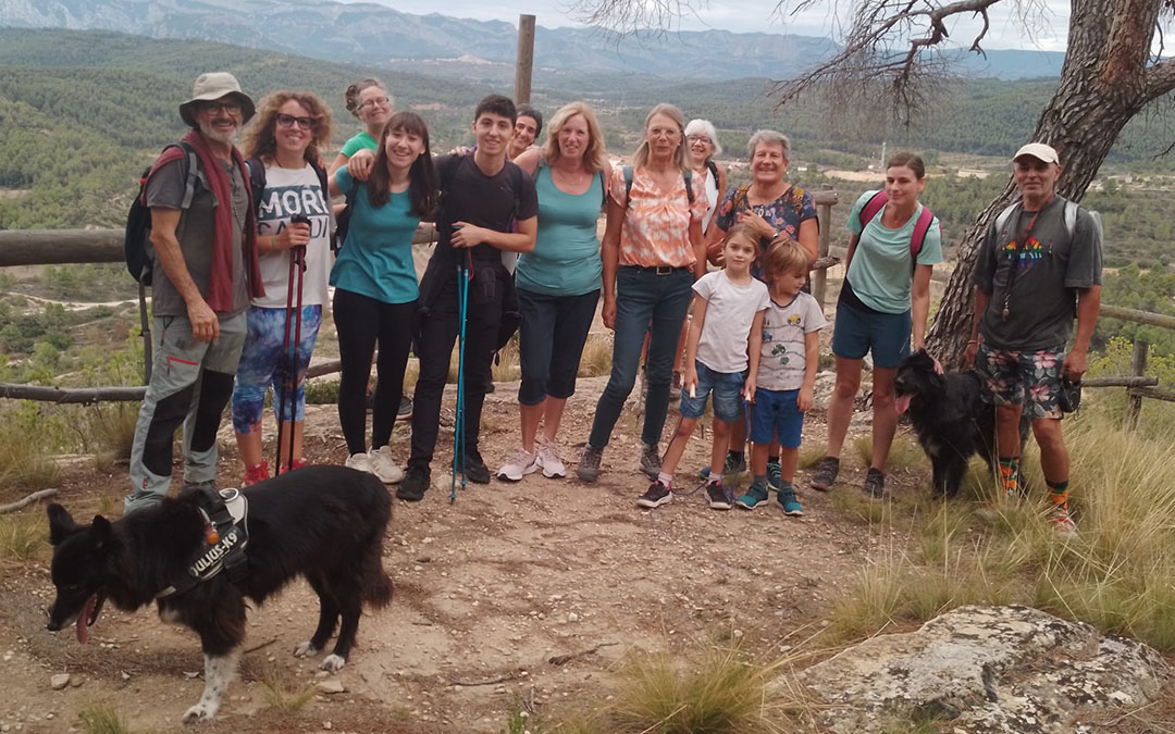 Grupo de participantes en la jornada sobre las oliveras de Arens de Lledó./ M. C.