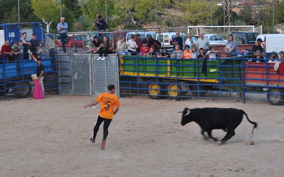 Vaquillas en Cretas./ J.L.