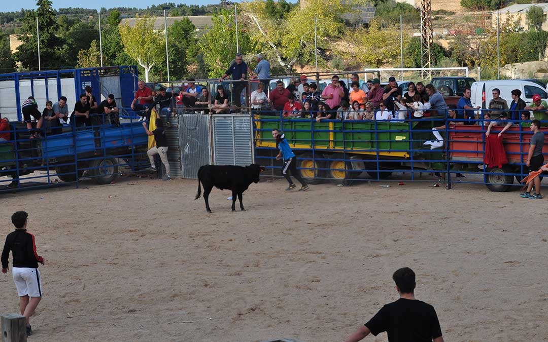 Vaquillas en Cretas./ J.L.