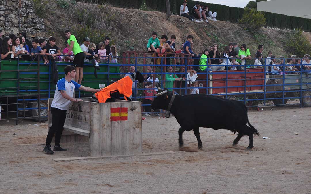 Vaquillas en Cretas./ J.L.