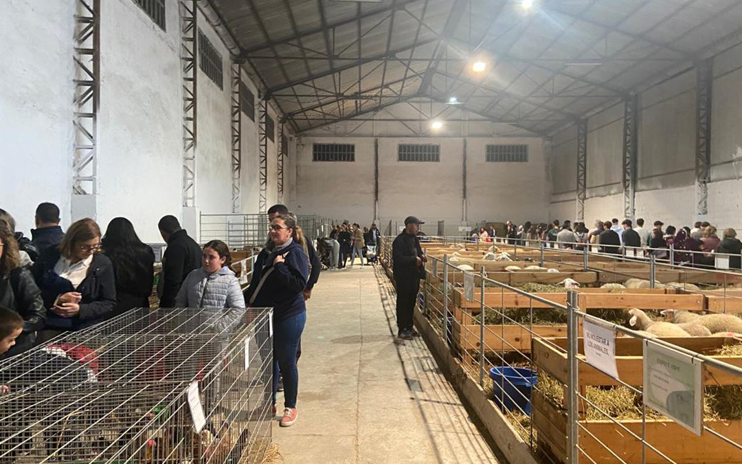 Muestra de ganado en Expo Caspe 2023./ Alba Zurita