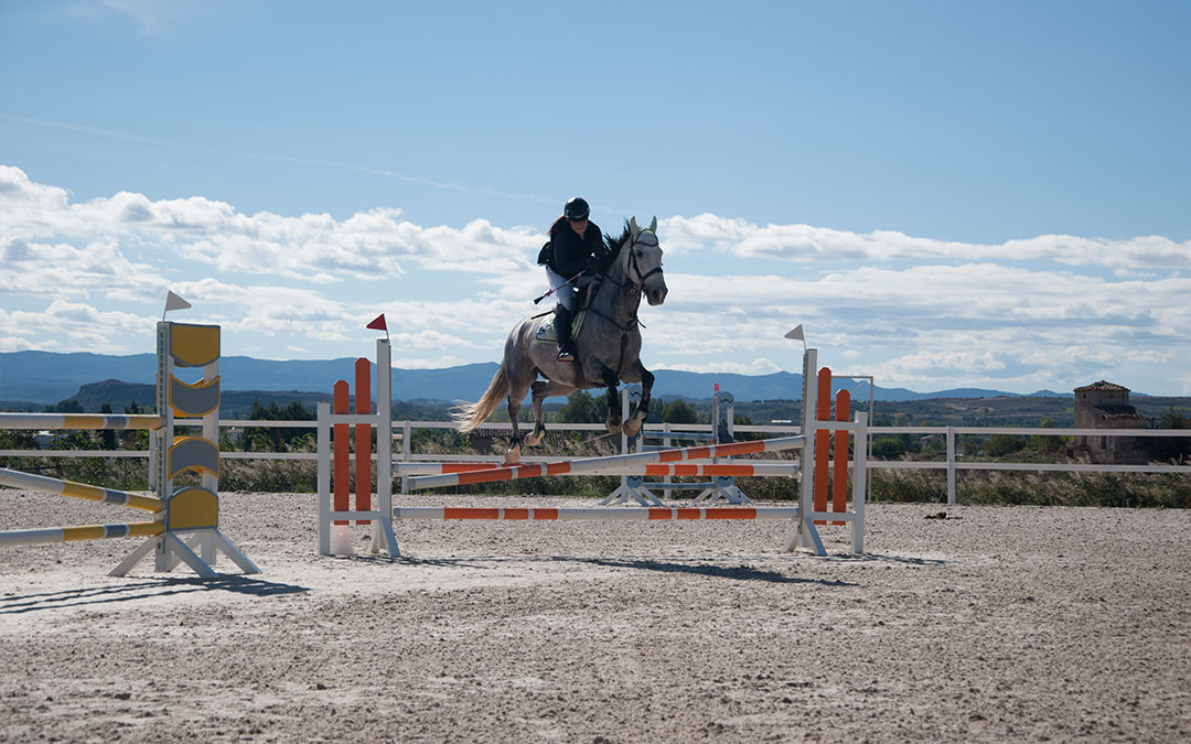gran premio alcaniz salto obstaculo octubre 2024./ S.F.