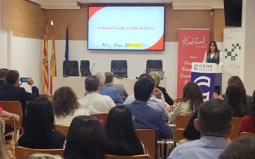 La diputada de turismo, Marta Sancho, durante la jornada de atracción a empresas de este martes./ DPT