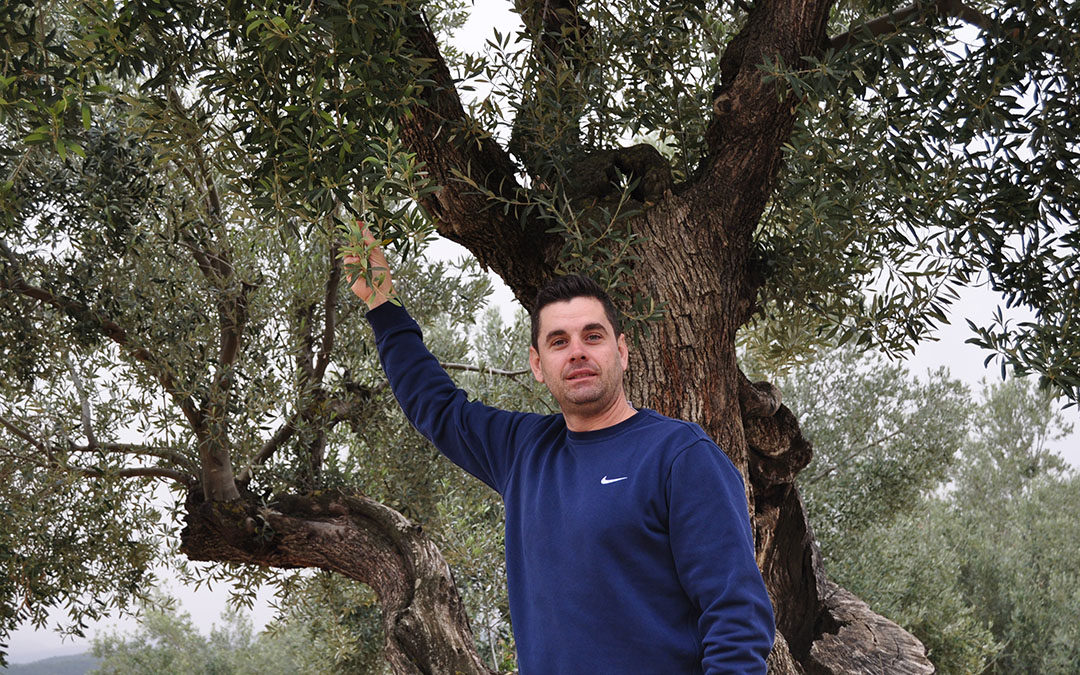 El joven agricultor Daniel González, de Valjunquera, junto a uno de los olivos de su explotación sin apenas olivas.