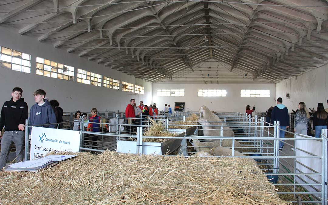 XXIX Feria de Aguaviva. / B. Severino