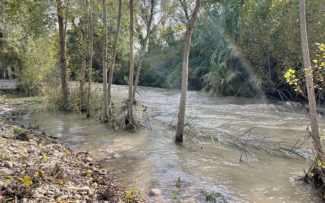 Crecida del río Guadalope en Alcañiz tras el desembalse del pantano de Calanda por las lluvias de la Dana./ María Celiméndiz