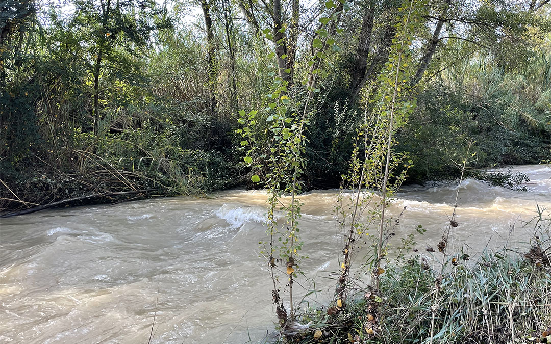 Crecida del río Guadalope en Alcañiz tras el desembalse del pantano de Calanda por las lluvias de la Dana./ María Celiméndiz