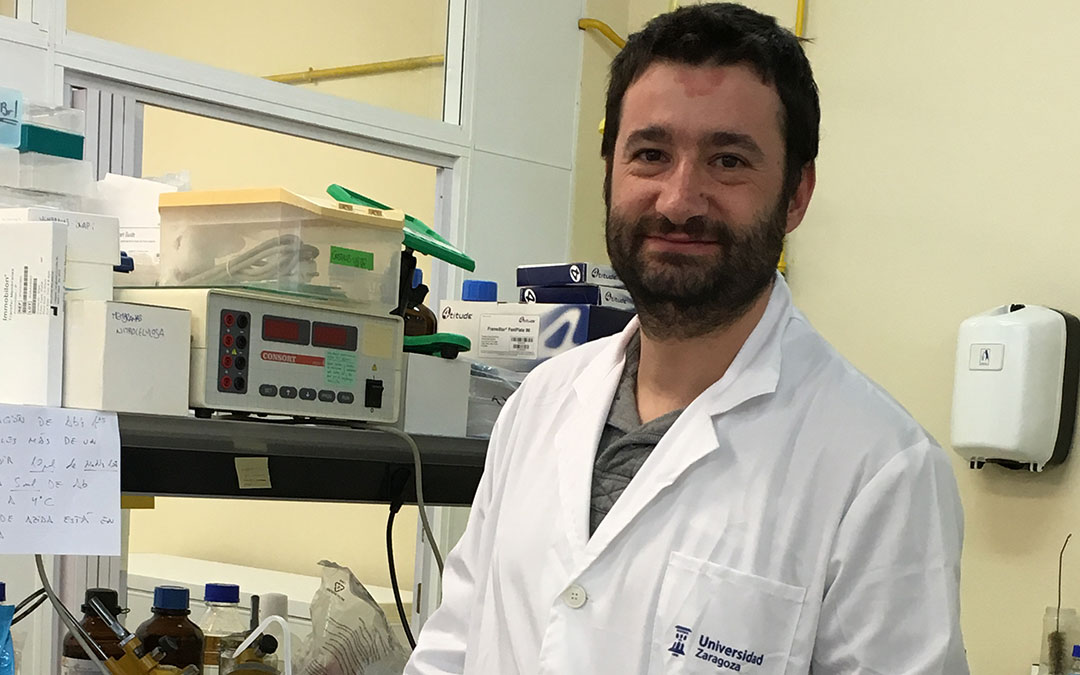 Nacho Aguiló Anento es profesor de Inmunología de la Universidad de Zaragoza. / L.C.
