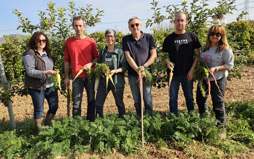 Imagen de archivo de los técnicos de la Oficina de Asesoramiento Agroalimentario junto con el teniente de alcalde del Ayuntamiento de Mas de las Matas, responsables del CITA y un representante de la Cooperativa San Antonio con el fruto de la primera cosecha de zanahorias autóctonas./ Ayuntamiento de Mas de las Matas