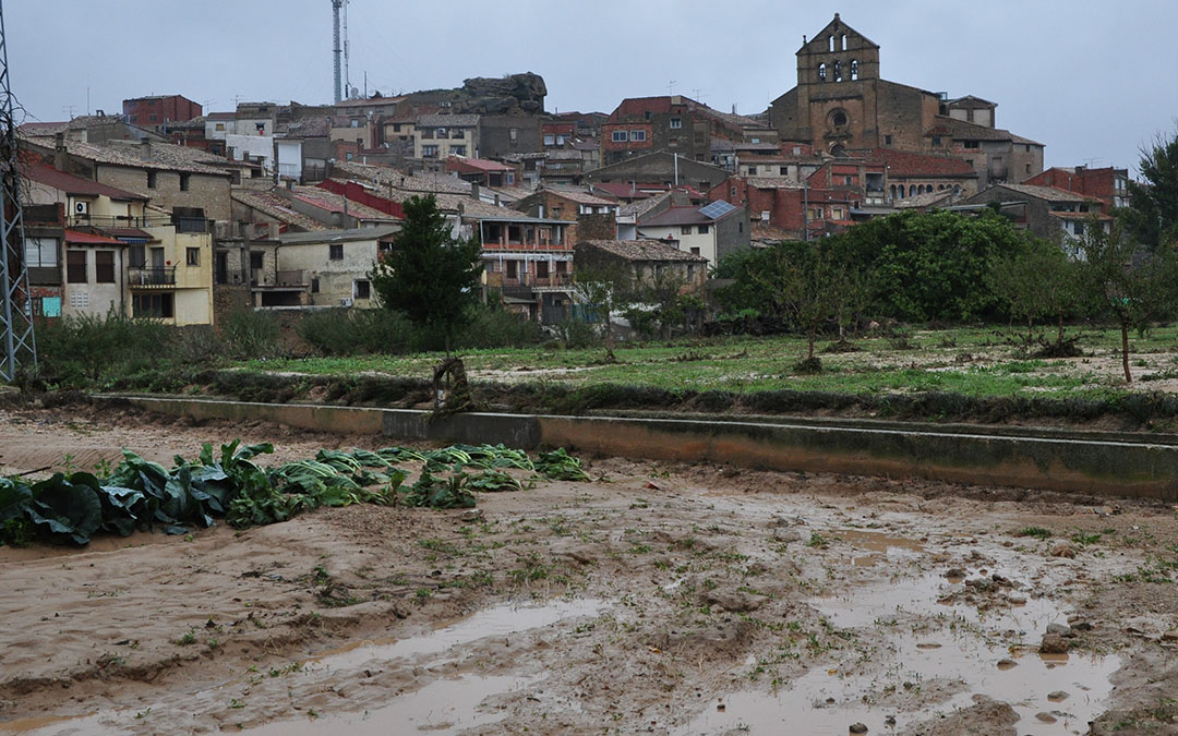 Daños provocados por la Vall d'Alcanyis en Mazaleón./ J.L.