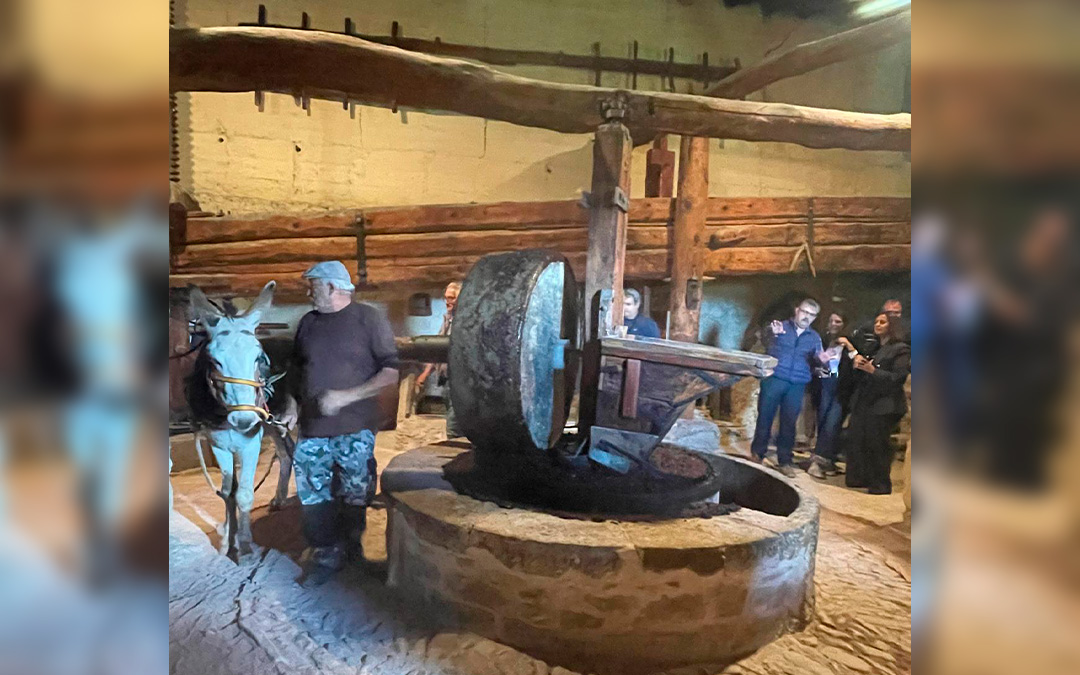 Demostración de la extracción de aceite en el molino de Jaganta./ Belén Adán
