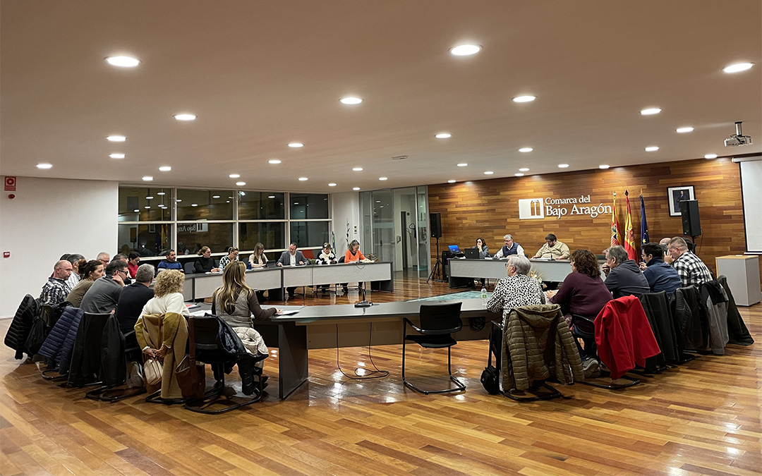 Pleno del Bajo Aragón celebrado el jueves 21 de noviembre de 2024./ María Celiméndiz