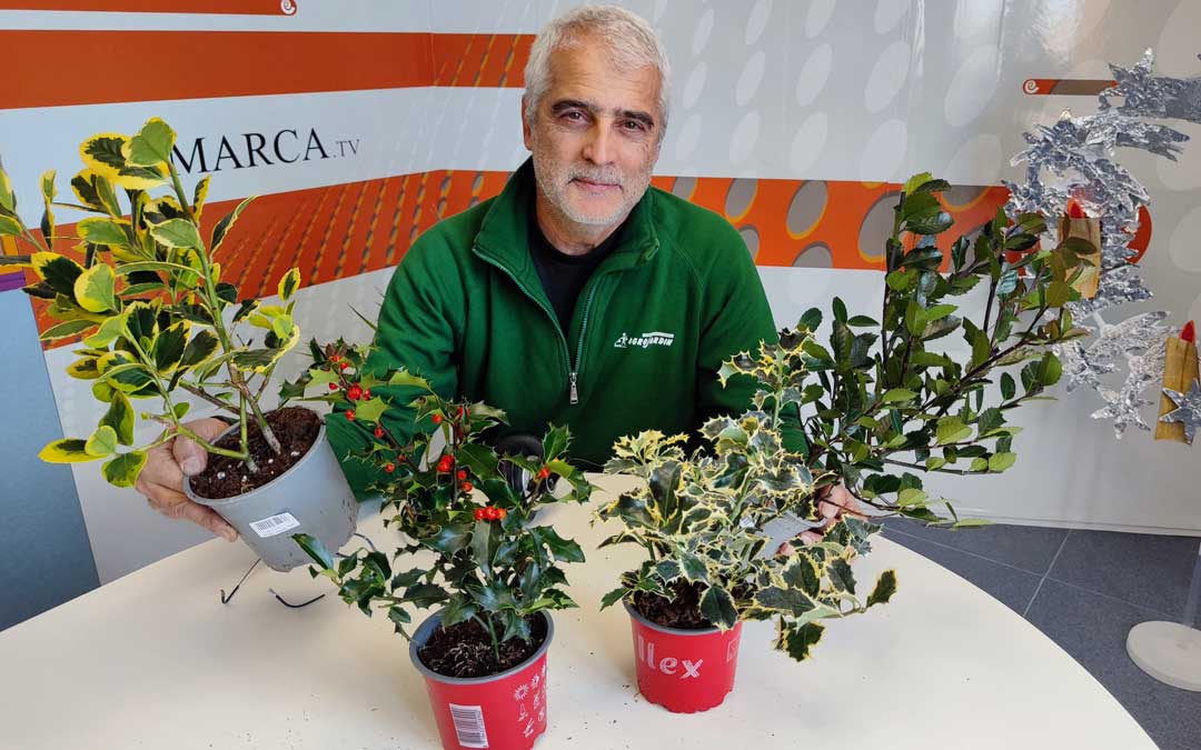 Javier Carela en los estudios de Radio La Comarca./ A.G.