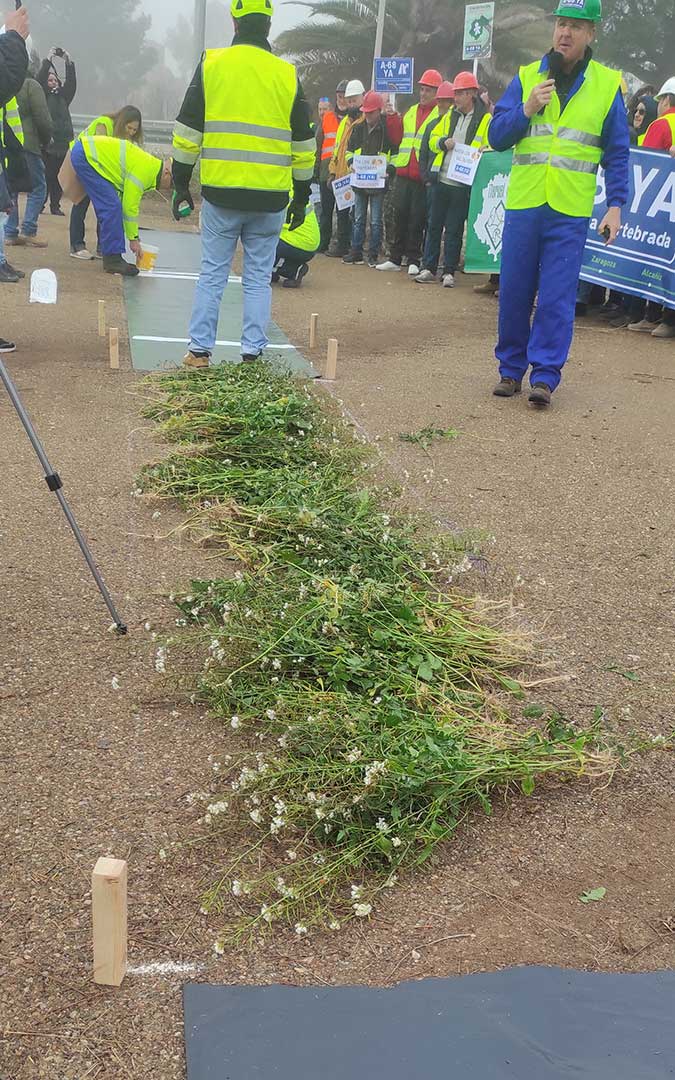 Simulación de construcción de la A-68 en El Regallo. Plantas para la mediana. / José Antonio Lafuente
