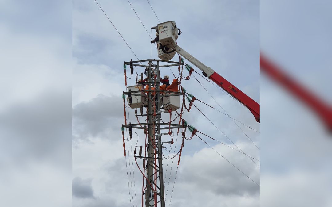 Los trabajos realizados forman parte del programa de mejora de instalaciones desarrollado anualmente por la compañía./ Endesa.