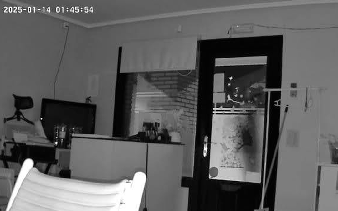 Imagen de la cámara de seguridad en la que se ve a una persona tras la puerta./ M.P.G.