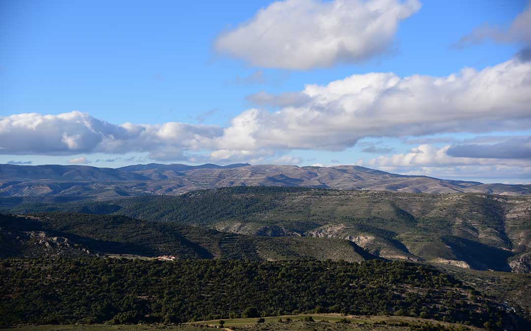 Imagen de Majalinos / La COMARCA
