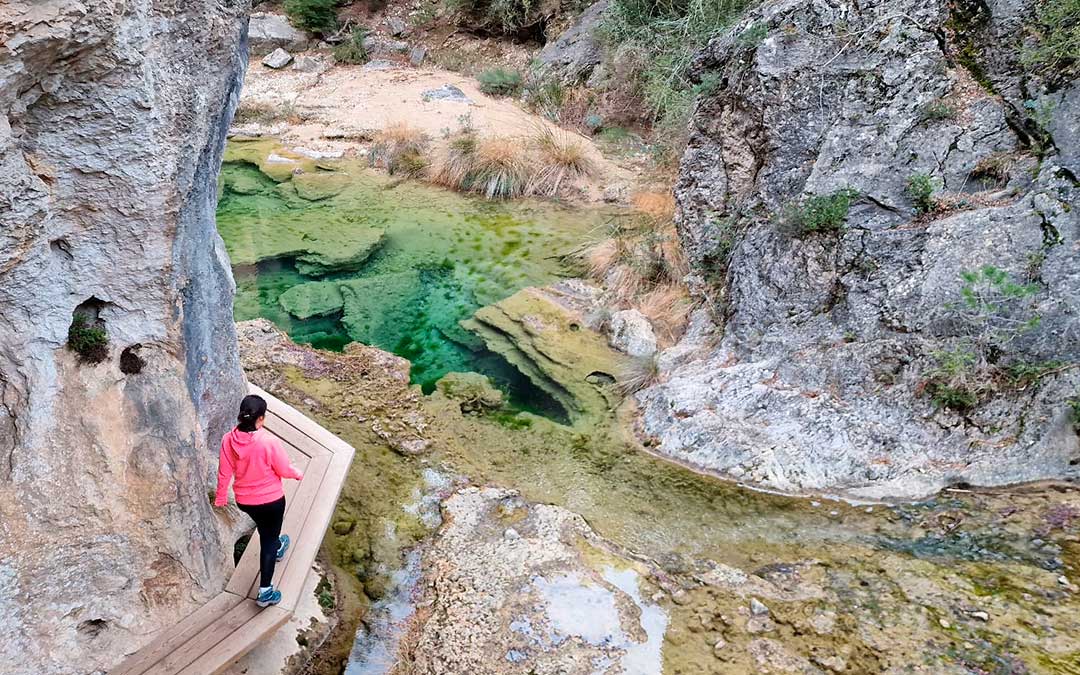 El Espacio Natural del Parrizal cuenta con un aforo limitado en la ruta de las pasarelas. Ahora hay un único turno y del 31 de marzo al 15 de septiembre, dos turnos de visita a escoger entre mañana o tarde / J.L.