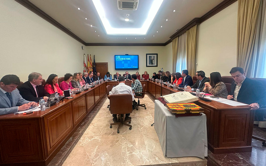 Sesión plenaria en la Diputación de febrero. / DPT