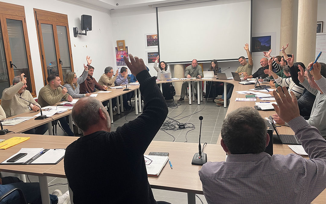 Una de las votaciones de la sesión plenaria de febrero 2025./ S.F.