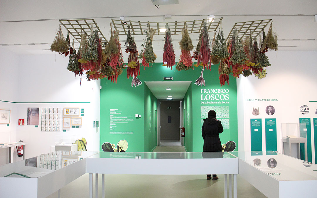 La exposición de Loscos en el Paraninfo repasa su vida, obra, su influencia y el herbario que preside las vitrinas centrales./ B. Severino