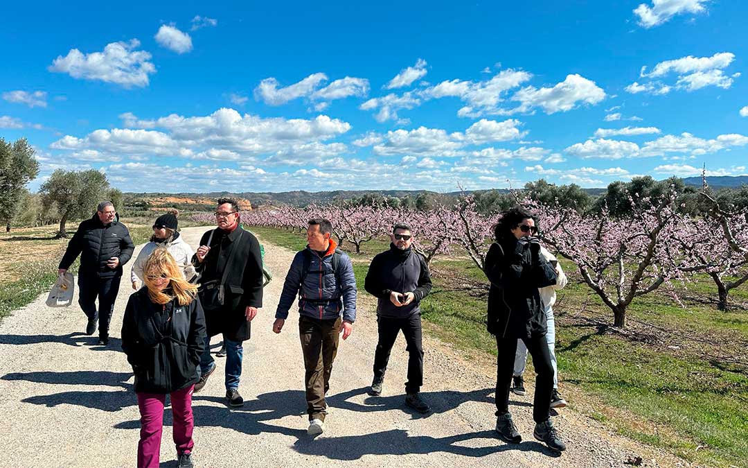 Calanda celebró este sábado la tercera edición de su experiencia ‘La floración de los Melocotoneros’./ Ayto.