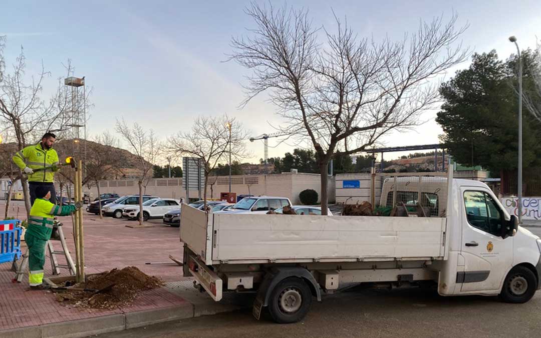 Empleados de la Brigada trabajan en la campaña de replantación de árboles./ AYTO ALCAÑIZ