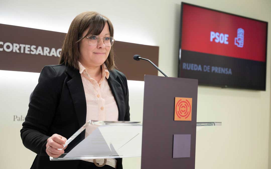 La diputada socialista Mari Carmen Soler durante su intervención en las Cortes./ PSOE