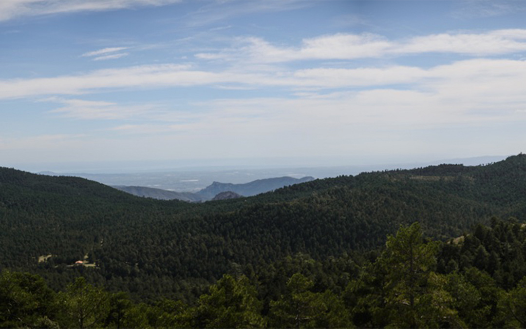 Extensión de monte en el Mataraña./ Comarca del Matarraña