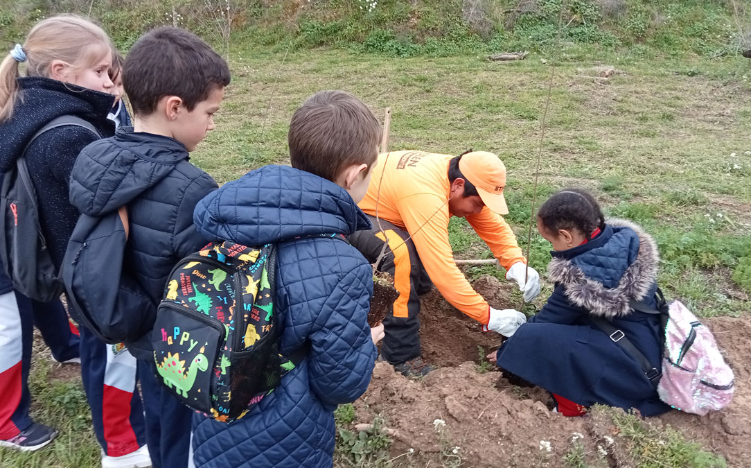 Escolares durante la plantación por el Día del Árbol./ Ayto. Alcañiz