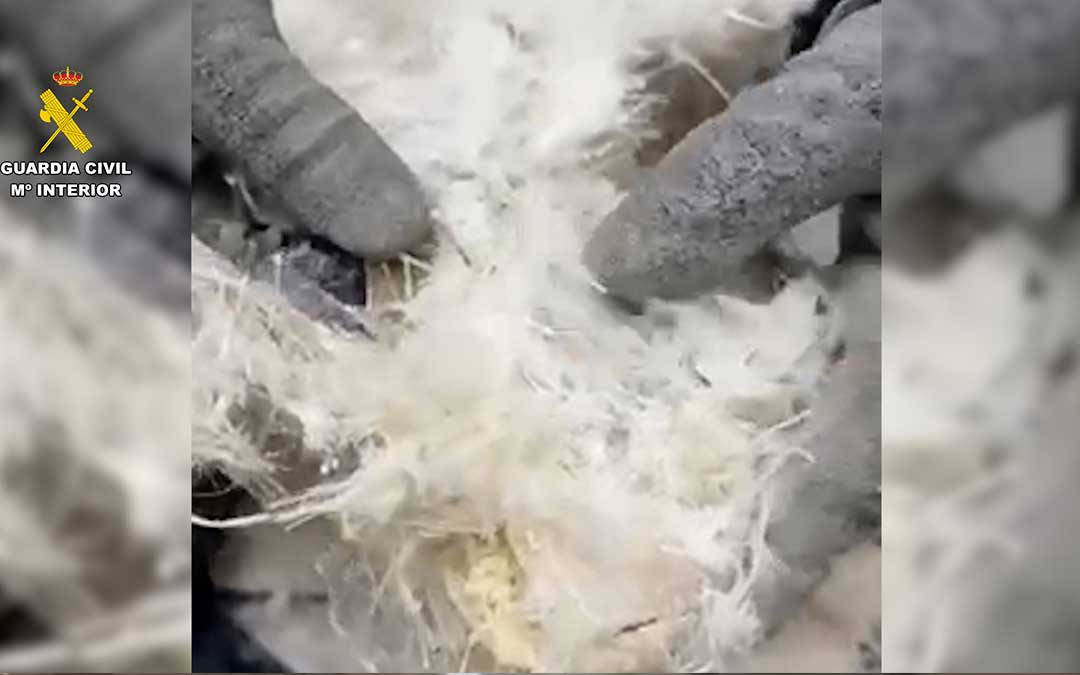 forma muy sofisticada, formando parte del relleno de seis sillas de montar / G.C.