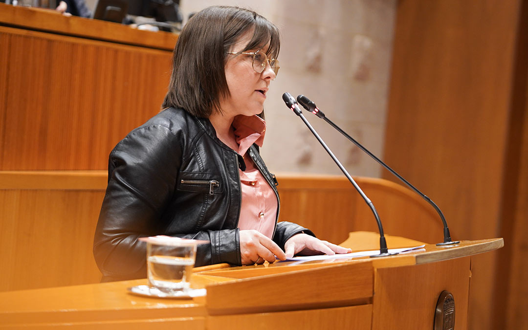 La diputada Mari Carmen Soler este jueves en el pleno de las Cortes./PSOE